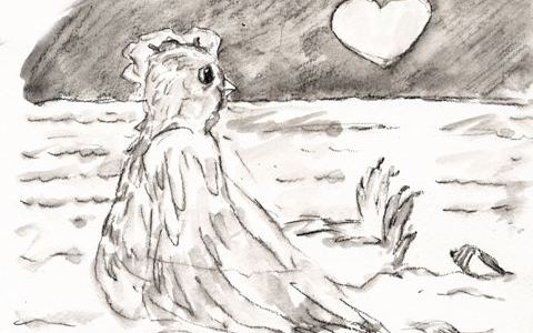 Chicken on the beach