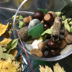 glass bowl with leaves and tree nuts