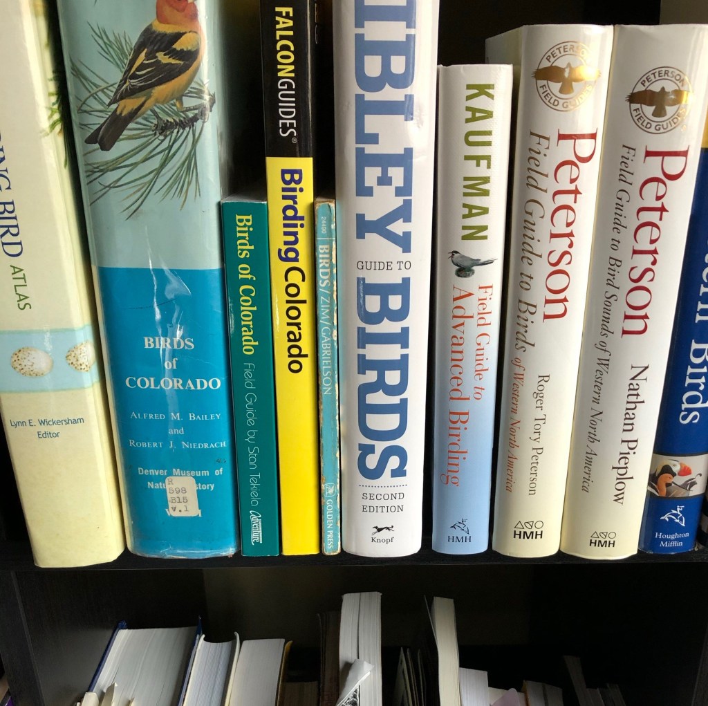 Photograph of a bookshelf showing a handful of bird field guides