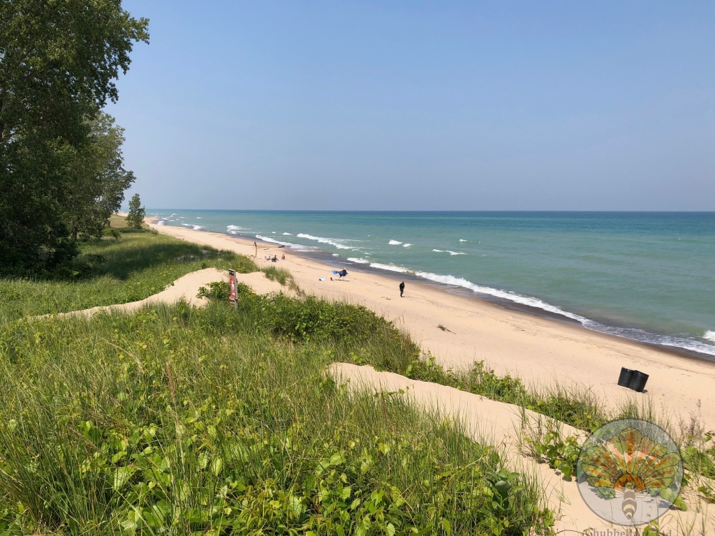 Photograph of sandy dunes sloping down to blue water at Dunbar Beach, Indiana Dunes National Park.