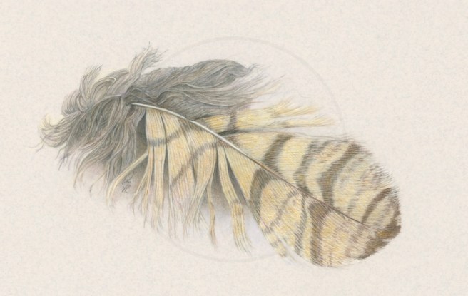 Wrapping up November