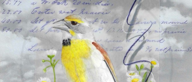 Colored Pencil on Drafting&nbsp;Film