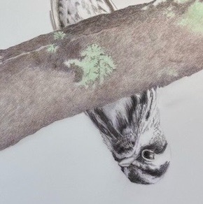 It’s Not All Black and&nbsp;White