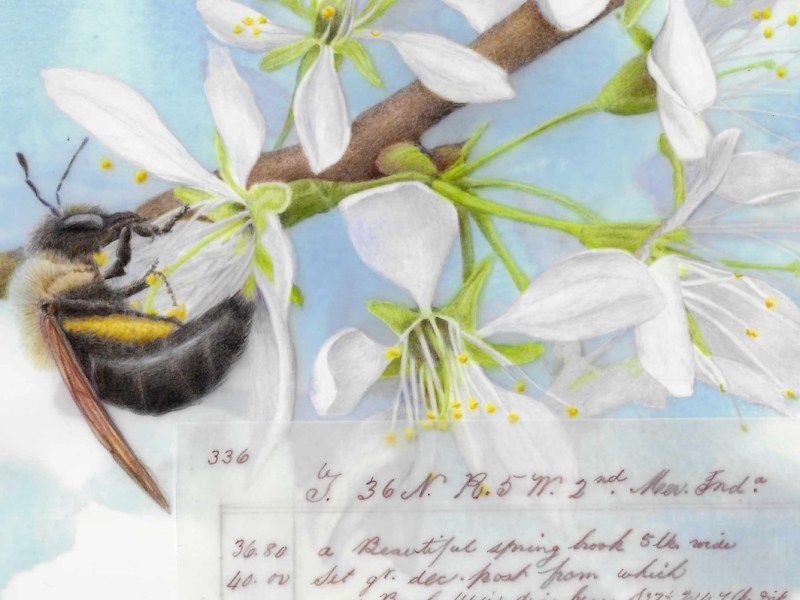 Beautiful Spring Brook